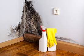  Elwood, IL Mold Removal Services Pros